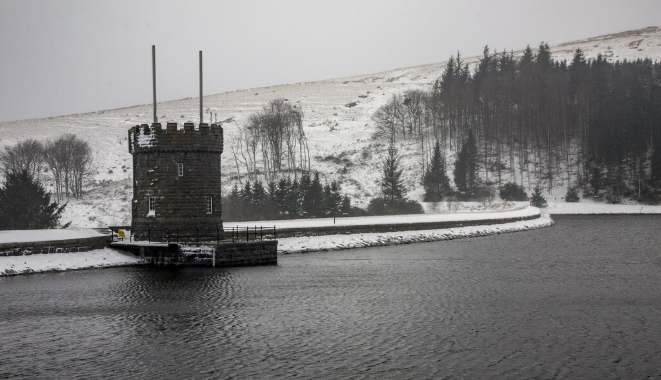 Hims & Hers Surges 40% – The Untold Story of the Novo Nordisk Settlement Hims & Hers Surges 40%: The Untold Story of the Novo Nordisk Settlement