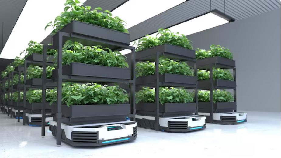 The AgTech Revolution, How Indoor Vertical Farming in Dubai is Disrupting the Global Food Supply Chain